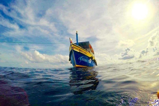 Fun Diving Packages (Certified Divers) - The underwater stops you’ll stack in one outing