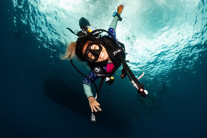 Fun Diving Packages (Certified Divers) - What actually happens before the boat leaves