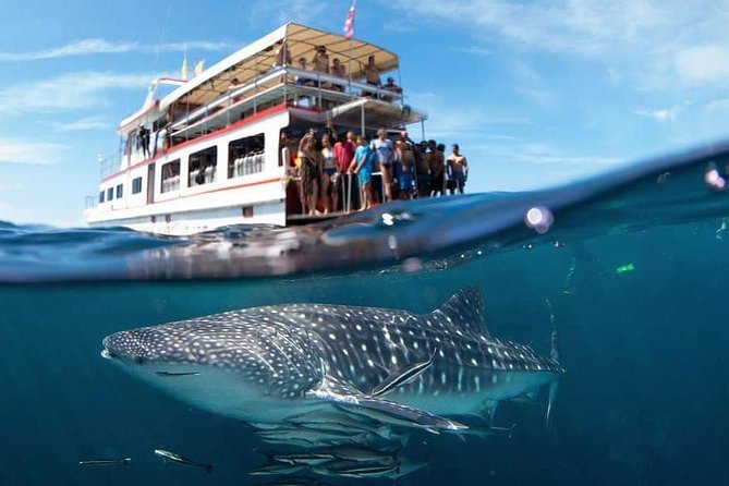 Fun Diving Safari Day Trip From Koh Lanta - Certified Divers - Key Highlights Worth Marking on Your Map