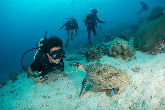 Fun Diving Safari Day Trip From Koh Lanta - Certified Divers - Ko Bida Nok Stop: Reefs Near Koh Phi Phi in Low Season