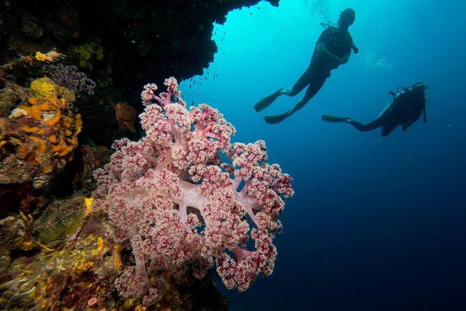 Fun Diving Safari Day Trip From Koh Lanta - Certified Divers - What the Briefing and Equipment Inclusion Actually Does for You