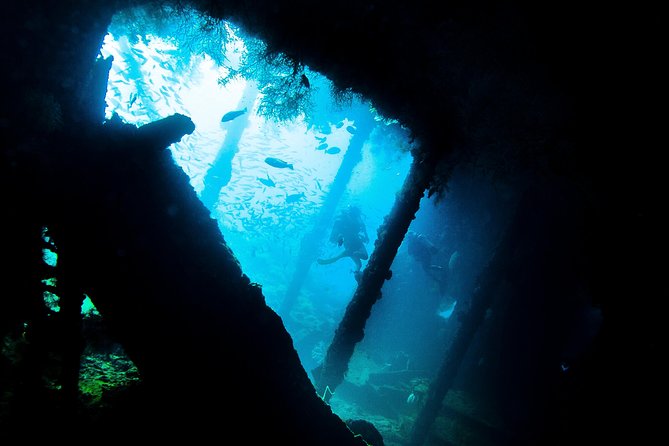 Fun Diving Tulamben Bali - For Certified Divers - Two underwater sessions at USAT Liberty: what the day is built around