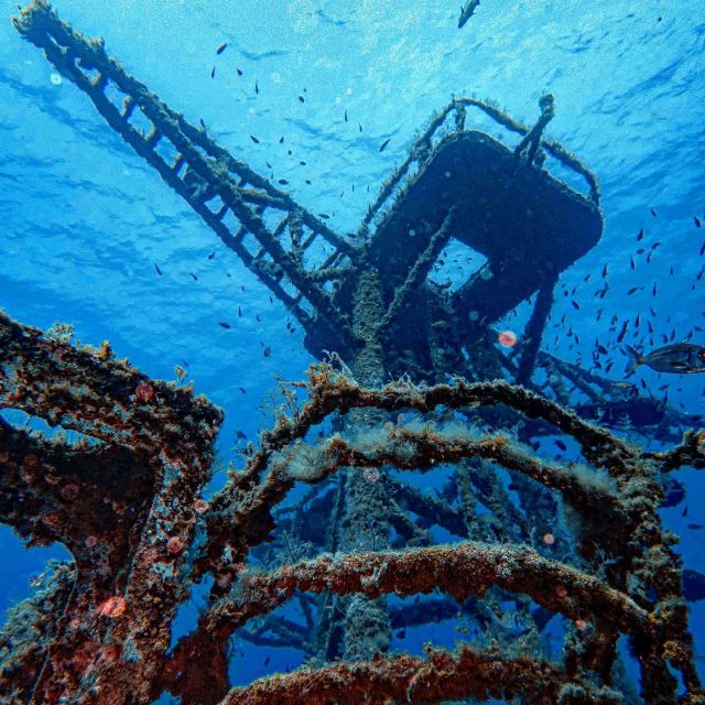 Funchal: Advanced Scuba Diving Afonso Cerqueira Wreck - Advanced scuba requirements: make sure you’re eligible