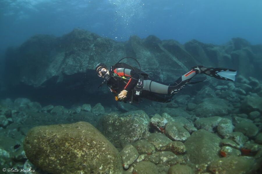 Funchal: Certified Scuba Diving, Guided Tour - Your underwater time in Eco Park Funchal: what you’ll actually look for