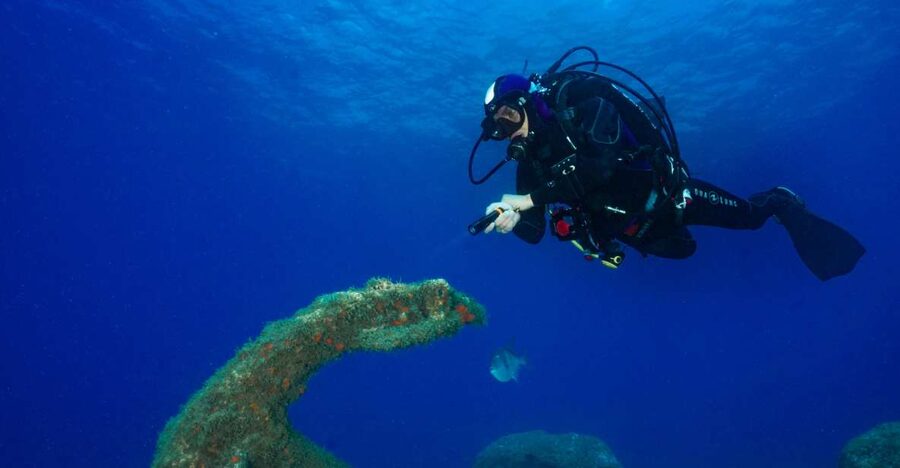 Funchal: Certified Scuba Diving, Guided Tour - Relaxed exploration + underwater photography: shooting without feeling rushed