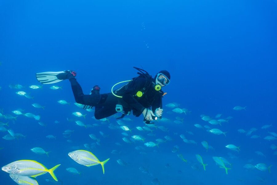 Funchal: Certified Scuba Diving, Guided Tour - Who this is best for (and who should skip it)