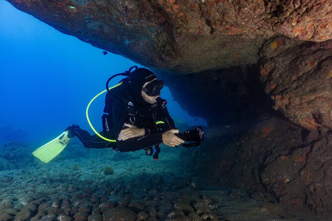 Funchal: Scuba Diving Experience for Beginners - The shallow reef around Funchal: colorful Atlantic life at beginner depth