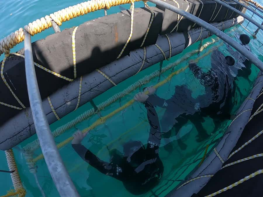 Gansbaai: Shark Cage Diving and Shark Viewing Boat Trip - What to pack so you don’t hate the ocean