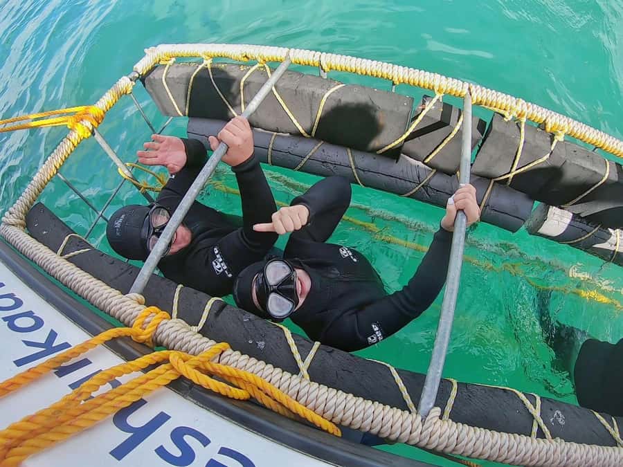 Gansbaai: Shark Cage Diving and Shark Viewing Boat Trip - The safety briefing: how the crew keeps it smooth