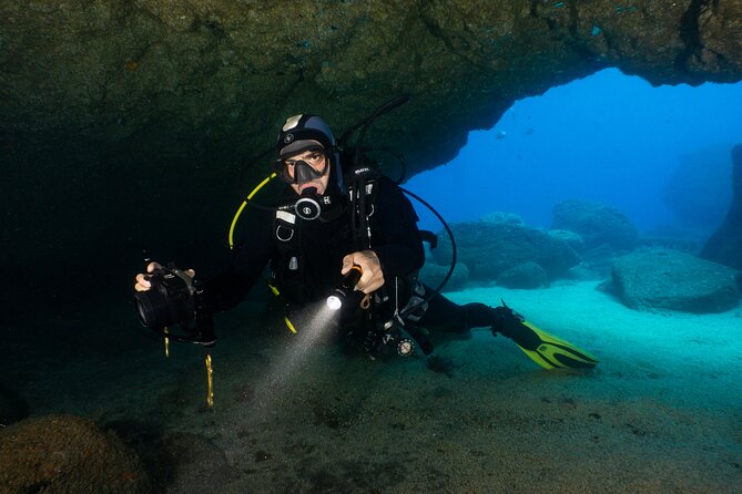Garajau National Park Dive from Funchal for Certified Divers - Price and Logistics: Budgeting for Entrance Fees and Equipment Add-Ons