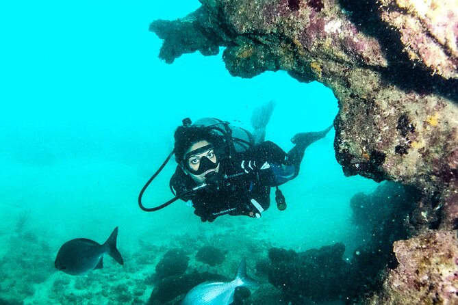 Get SCUBA Certified at San Juan - Key highlights at a glance