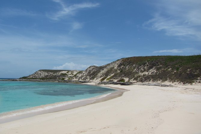 Gibbs Cay Stingray and Conch Dive Adventure - Key Things I Think Are Worth Your Time