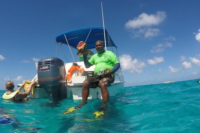 Gibbs Cay Stingray and Conch Dive Adventure - Snorkeling and Marine Life: What You’ll Likely See