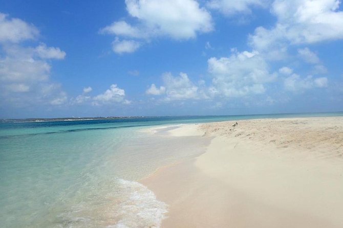 Gibbs Cay Stingray and Conch Dive Adventure - Price and Value: Is $103 Worth It?