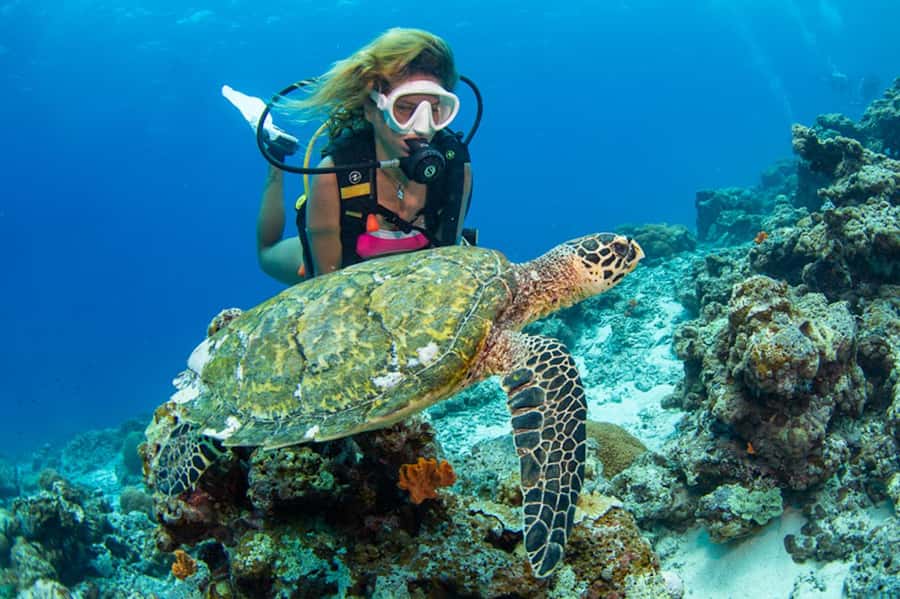 Gili Meno: Discover Scuba Diving for the first time - Gear Fitting and Theory: The “Comfort First” Approach