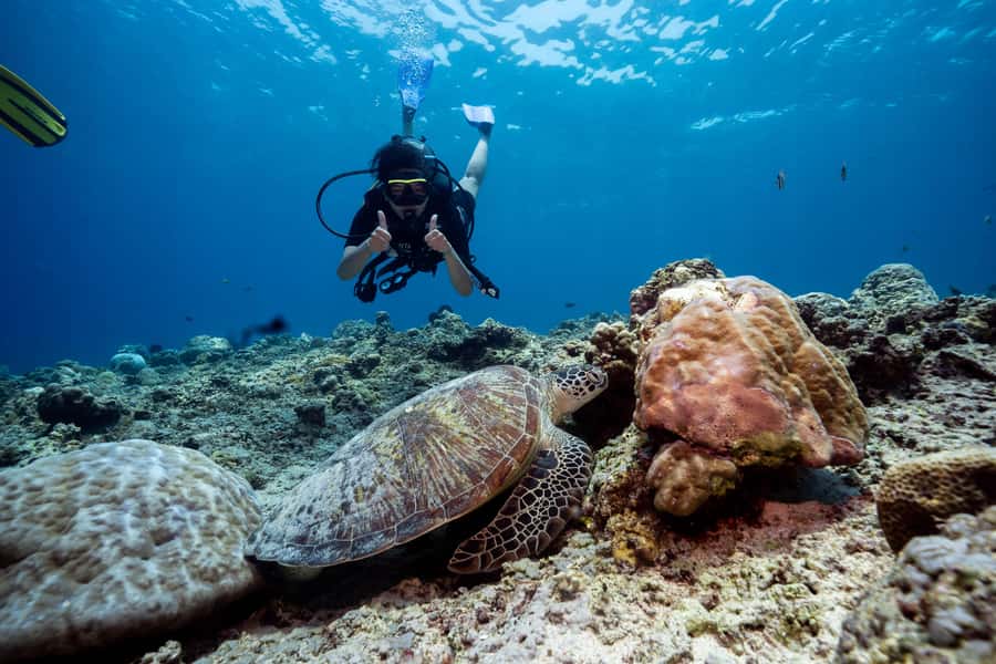 Gili Trawangan : Discovery Scuba Diving - Gili Trawangan is built for your first underwater scuba session