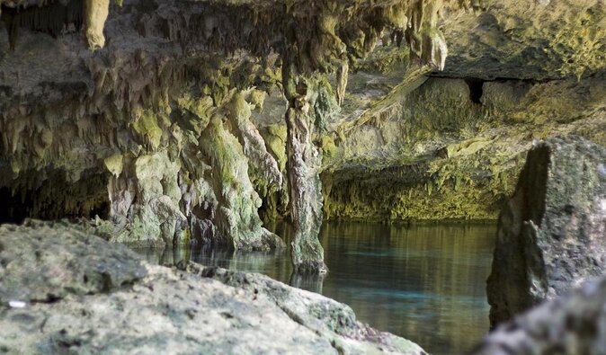 Go for 2 dives in cenote Dos ojos for certified divers - Key highlights to look for