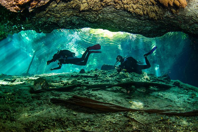 Go for 2 dives in cenote Dos ojos for certified divers - Where you start: La Calypso check-in and getting kitted up