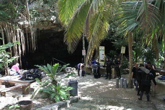 Go for 2 dives in cenote Dos ojos for certified divers - Who should book this Cenotes Dos Ojos certified option