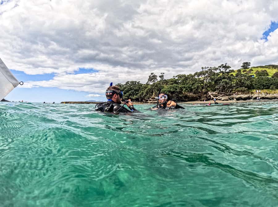 Goat Island Try Scuba Diving Experience - Key highlights worth knowing