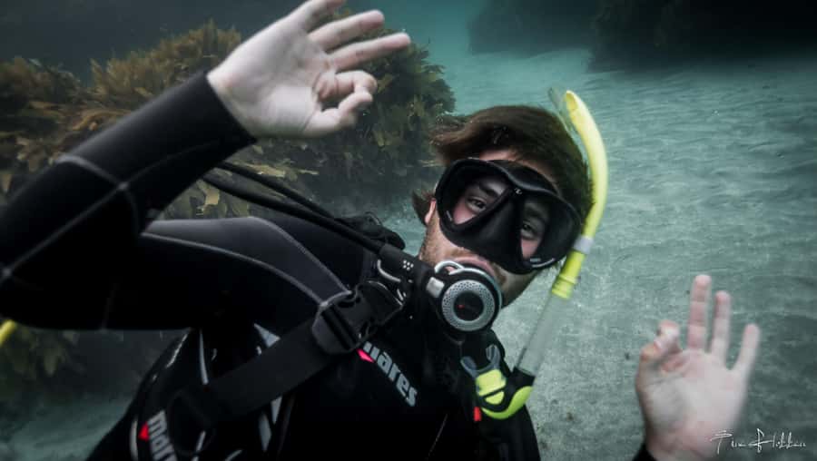 Goat Island Try Scuba Diving Experience - Shallow water practice: learn to breathe, use the equipment, and stay in control