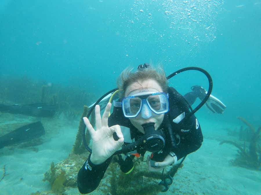 Goat Island Try Scuba Diving Experience - Explore the marine reserve: fish sightings and the real reward