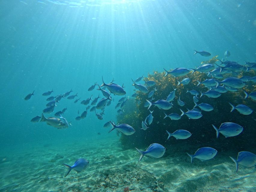 Goat Island Try Scuba Diving Experience - What to bring, plus the rules that keep the day smooth