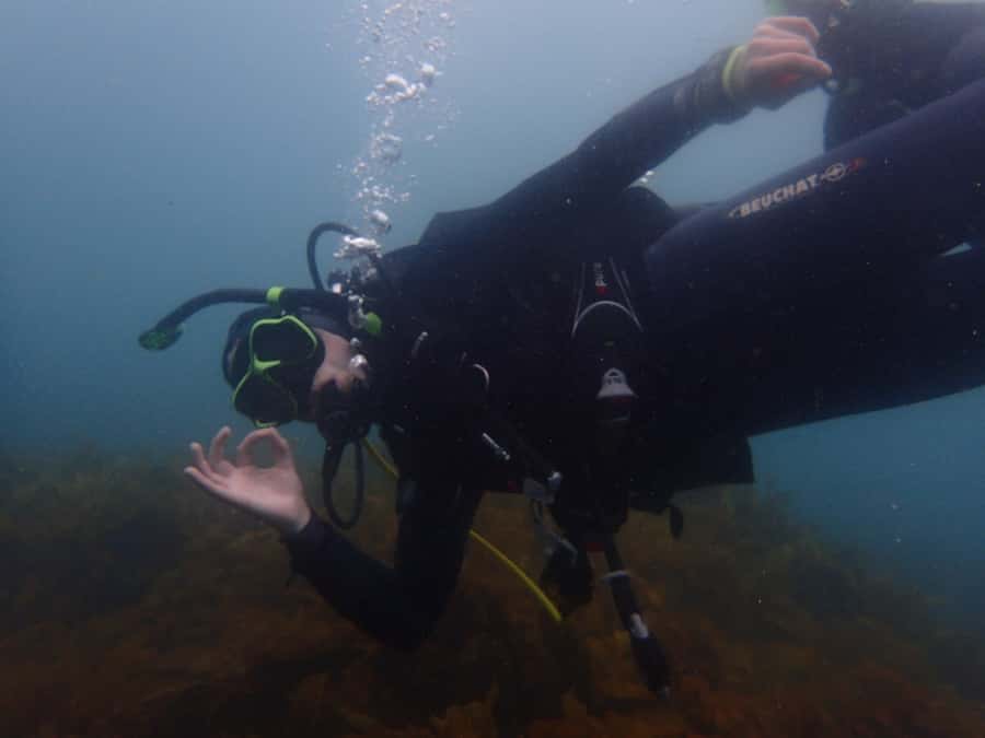 Goat Island Try Scuba Diving Experience - Weather can change everything—so plan with a flexible mindset