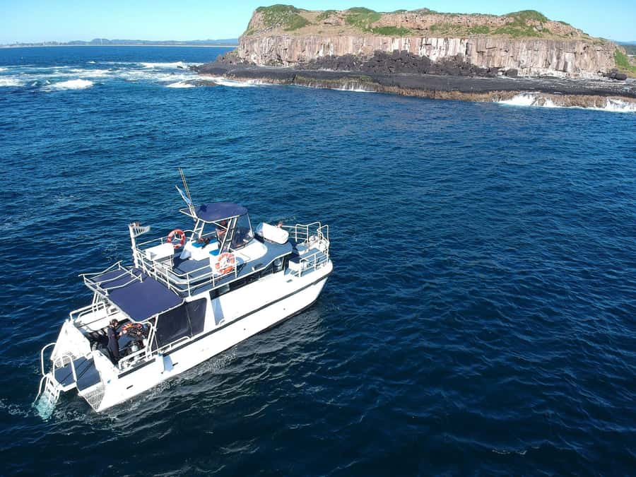 Gold Coast: Cook Island Marine Reserve Scuba Experience Dive - From Miami to the Tweed Heads Jetty: How You Start This Day