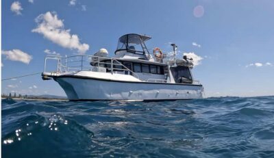 Gold Coast: Cook Island Marine Reserve Scuba Experience Dive - Boat Ride to Turtle Island: When the Scenery Helps