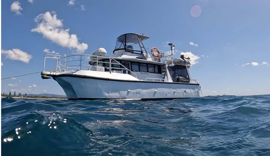 Gold Coast: Cook Island Marine Reserve Scuba Experience Dive - Boat Ride to Turtle Island: When the Scenery Helps