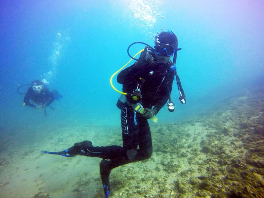 Gold Coast: Introductory SCUBA Diving Experience - Key Points at a Glance