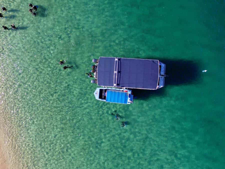 Gold Coast: Introductory SCUBA Diving Experience - Shallow-Water Setup: Gear Use, Breathing Control, and Hand Signals