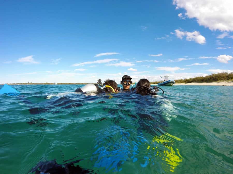 Gold Coast: Introductory SCUBA Diving Experience - Price and Value: Is $91 Worth It?