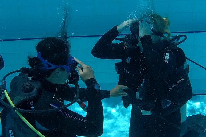 Gold Coast Learn to Dive – Open Water Certification Course - Price and value: $426.76 for a credential you can use