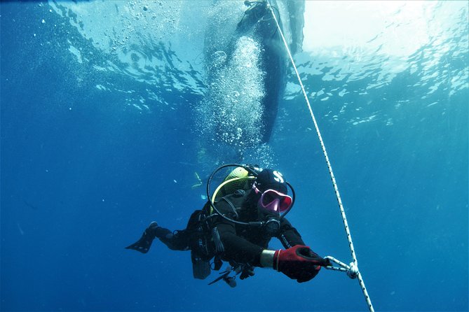Gran Canaria 3 days / 6 dives in Various Locations - Meeting at Calle Olimpicos: getting organized fast