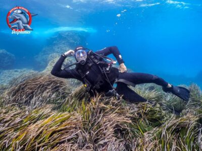 Gran Canaria: Discover Scuba Diving Beginner Program - Meeting Time at 09:30 and Getting Organized Fast