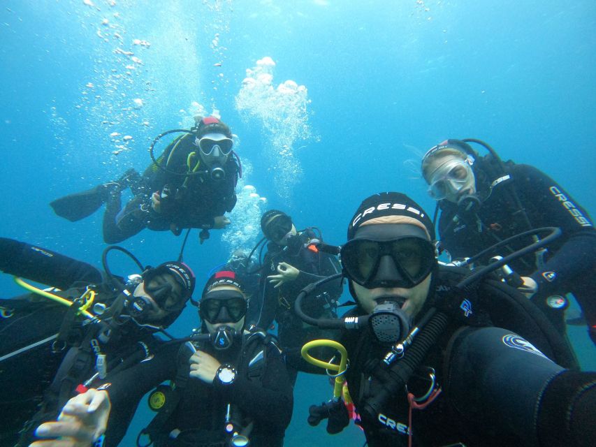 Gran Canaria: Discover Scuba Diving - Free Transfers - Who should book, and who should skip