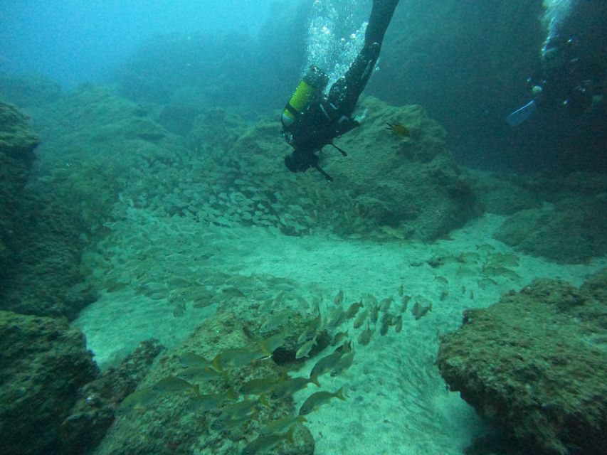 Gran Canaria: Discover Scuba Diving - Free Transfers - Amadores or Tufia: how weather changes your day (and what to expect)