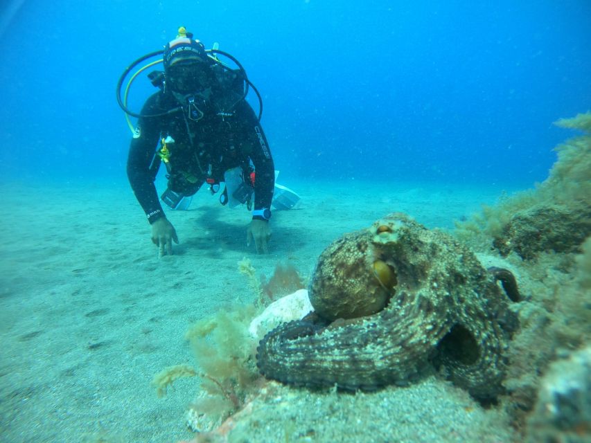 Gran Canaria: Discover Scuba Diving - Free Transfers - Gear and comfort: Cressi equipment and a small-group setup