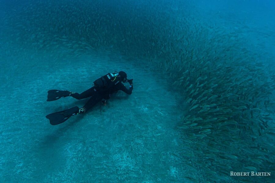 Gran Canaria:Live an Adventure and Learn to Dive with Expert - Practical tips before you go