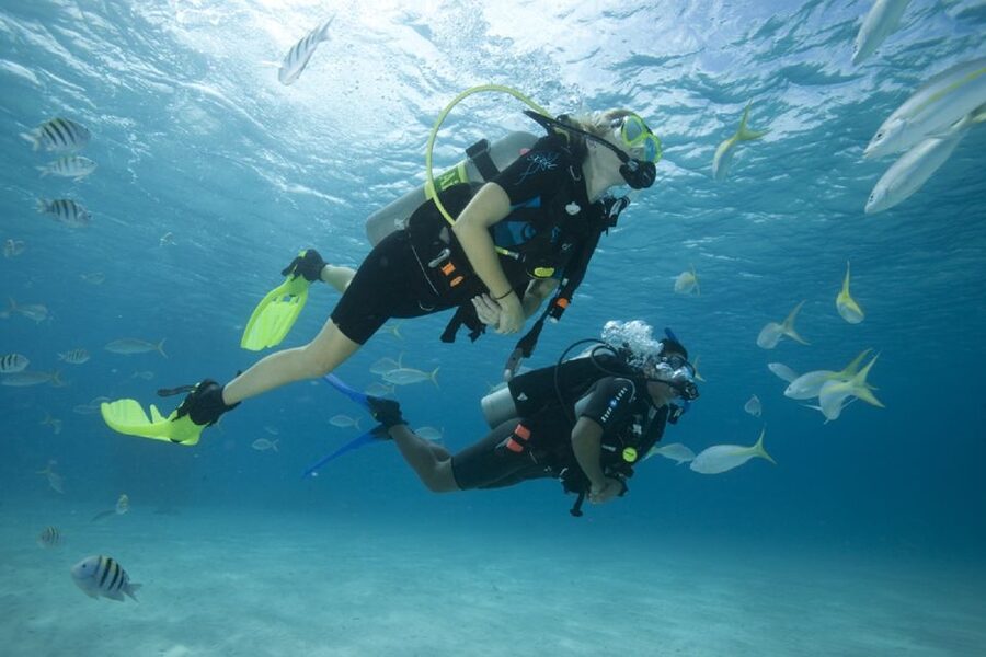 Gran Canaria: Scuba Diving for Beginners - Confined-water skills: breathing, mask clears, and equalizing with confidence