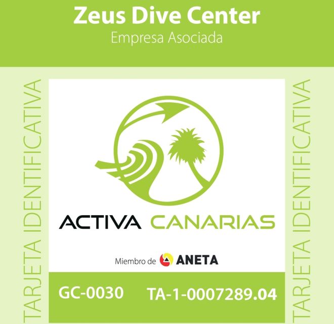 Gran Canaria Scuba Diving for Certified Divers - Gran Canaria’s underwater variety for certified scuba