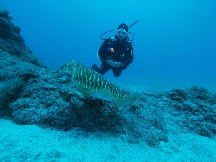 Gran Canaria: Try Scuba Diving for Beginners - The Safety Briefing: Where You Learn What Actually Matters