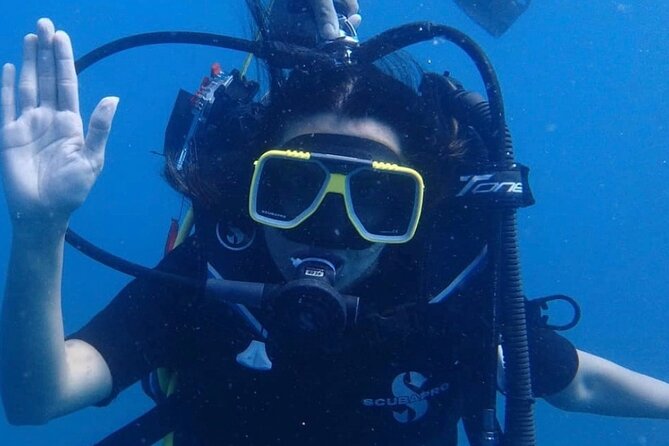 Grand Island Adventure: Diving and Water Sports Thrills - Quick Take: Grand Island’s Best Bits and What to Watch