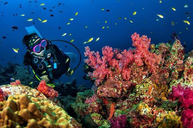 Grand Island Adventure: Diving and Water Sports Thrills - Safety Briefing and Scuba Basics Before You Go Under