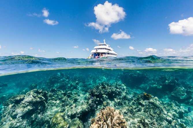 Great Barrier Reef Snorkeling and Diving Cruise from Cairns - From Cairns Waterfront to the Superyacht Evolution