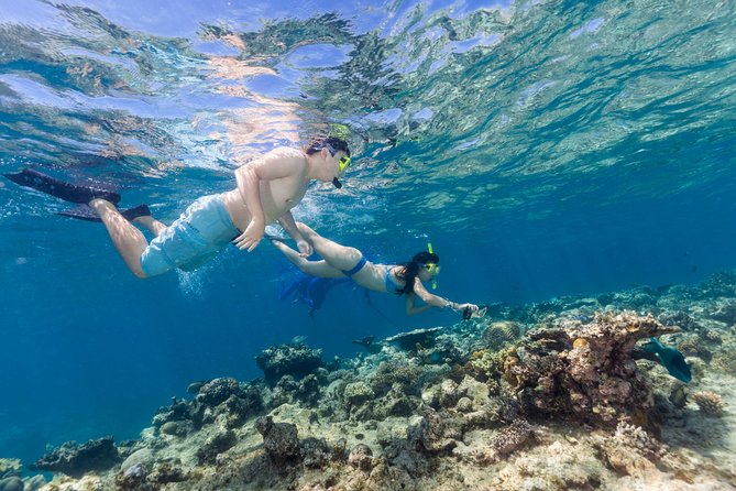 Great Barrier Reef Snorkeling and Diving Cruise from Cairns - Optional Underwater Scuba Sessions: Training and Constraints