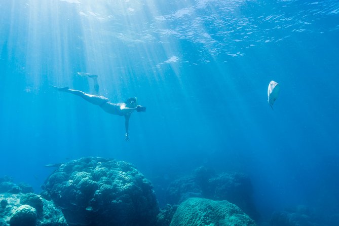 Great Barrier Reef Snorkeling and Diving Cruise from Cairns - The Boat Ride Reality Check: Weather, Waves, and Seasickness