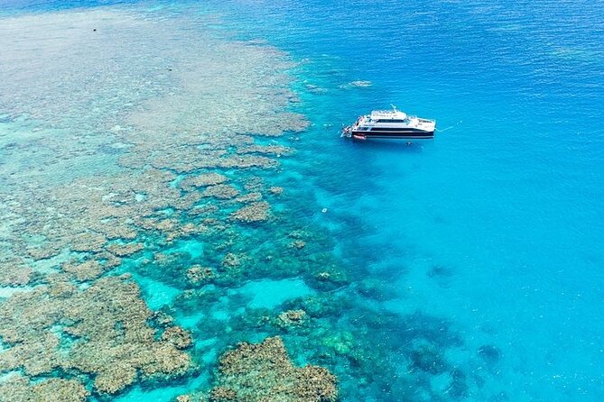 Great Barrier Reef with Cultural Guides-Dreamtime Dive & Snorkel - Moore Reef: your first look at the reef through Cultural Guides